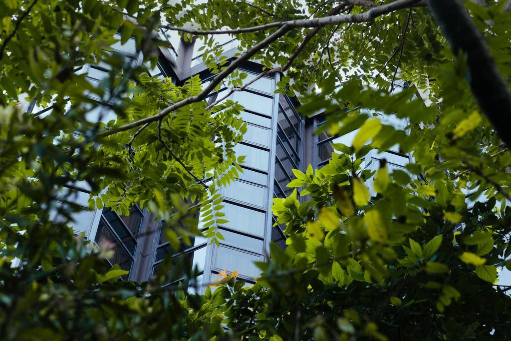 Primacy Apart Hotel Mar del Plata Luaran gambar